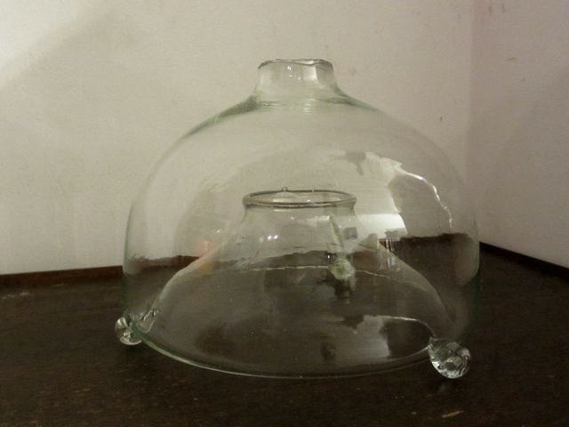 アンティーク 気泡の入った 虫取りガラス
